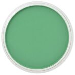 PanPastel 9ml – 640.5 Permanent Green - 