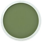 PanPastel 9ml – 660.3 Chromium Oxide Green Shade - 