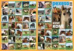 Pexeso - Koně - 