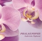 Phalaenopsis - Gabriela Šípková