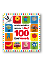 Prvních 100 slov / First 100 words - Podívej se pod obrázek - 