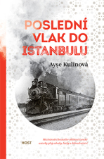 Poslední vlak do Istanbulu - Ayse Kulinová