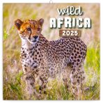 NOTIQUE Poznámkový kalendář Divoká Afrika 2025, 30 x 30 cm - 