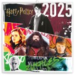 NOTIQUE Poznámkový kalendář Harry Potter 2025, 30 x 30 cm - 