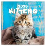 NOTIQUE Poznámkový kalendář Koťata 2025, 30 x 30 cm - 