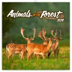 Poznámkový kalendář Zvířátka z lesa 2024 - 