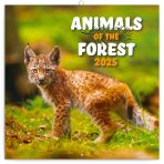Poznámkový kalendář Zvířátka z lesa 2025, 30 × 30 cm - 