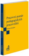 Pracovní poměr pedagogických pracovníků - Michal Smejkal