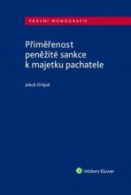 Přiměřenost peněžité sankce k majetku pachatele - Jakub Drápal