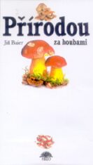 Přírodou za houbami - Jiří Baier,Antonín Bielich