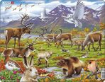Puzzle Flora a fauna arktické tundry - 