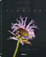 Richard Fischer: A Tribute to FLOWERS. Plants under Pressure - Richard Fischer