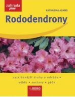 Rododendrony - Adams Katharina
