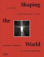 Shaping the World: Sculpture from Prehistory to Now - Martin Gayford,Antony Gormley