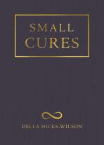 Small Cures - Della Hicks-Wilson