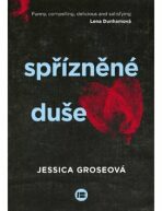 Spřízněné duše (Defekt) - Gross Jessica