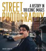 Street Photography: A History in 100 Iconic Photographs - David Gibson