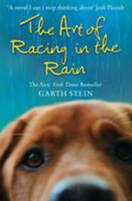 The Art of Racing in the Rain (Defekt) - Garth Stein