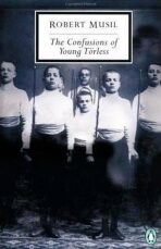 The Confusions of Young Torless - John Maxwell Coetzee