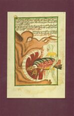 The Jena Codex - 