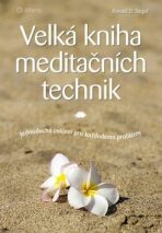 Velká kniha meditačních technik - Jednoduchá cvičení pro každodenní problémy - Ronald D. Siegel