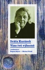 Víno tvé výborné /rozhovory Štěpán Hájek a Michal Plzák/ - Sváťa Karásek, ...