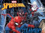 Vybarvující puzzle Spiderman, 49 x 36 cm (100 Pcs.) - 