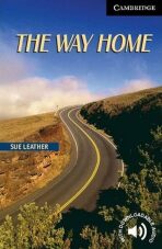 Way Home - Sue Leather