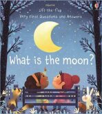 What is the Moon? - Katie Daynes