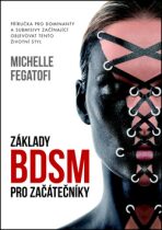 Základy BDSM pro začátečníky - Příručka pro dominanty a submisivy začínající objevovat tento životní styl - Michelle Fegatofi