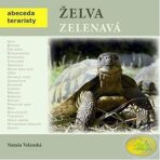 Želva zelenavá - Nataša Velenská