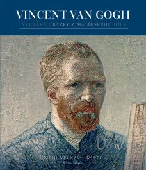 Vincent van Gogh Cristina Sirigatti