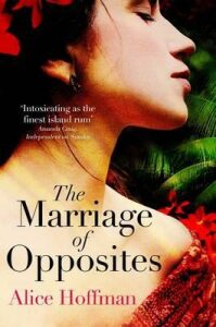 The Marriage of Opposites - Alice Hoffman
