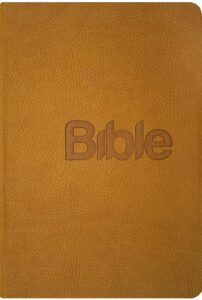 Bible překlad 21. století - Alexandr Flek