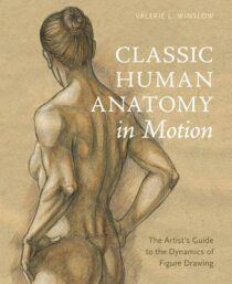 Classic Human Anatomy In Motion - Winslow Valerie L.