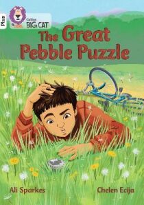 The Great Pebble Puzzle - Ali Sparkesová