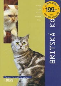 Britská kočka - Esther Verhoef