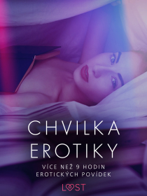 Chvilka erotiky: více než 9 hodin erotických povídek - Andrea Hansen, Anita Bang, ...