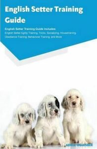 English Setter Training - Oglesbee Adell