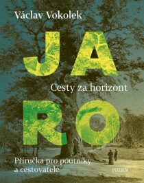 Jaro Cesty za horizont (Defekt) - Václav Vokolek