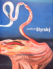 Jindřich Štyrský (monografie) - Karel Srp,Lenka Bydžovská