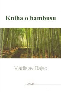 Kniha o Bambusu - Vladislav Bajac