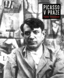 Picasso v Praze (Defekt) - Pavel Štěpánek