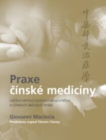 Praxe čínské medicíny – Léčba onemocnění pomocí akupunktury a čínských léčivých směsí - Giovanni Maciocia