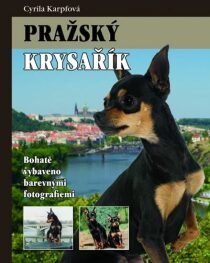 Pražský Krysařík - Cyrila Karpfová