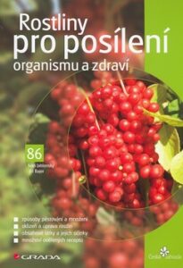 Rostliny pro posílení organismu a zdraví - Ivan Jablonský,Jiří Bajer