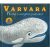 Varvara - kniha o velrybím putování