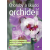Choroby a škůdci orchidejí