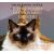 Dalajlamova kočka a čtyři tlapky duchovního úspěchu