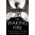The Waking Fire : Book One of Draconis Memoria (Defekt)
